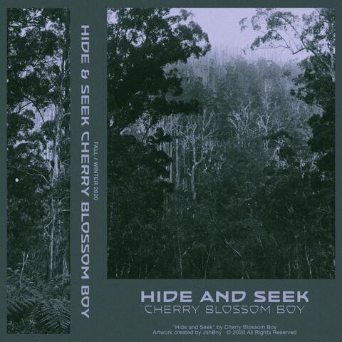 Hide And Seek