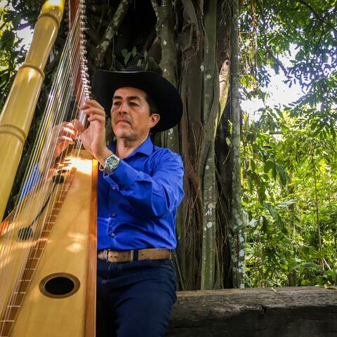 Alabanza (Instrumental Llanera)