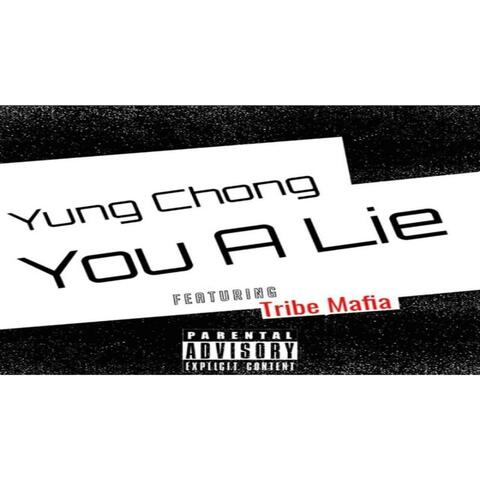 You a Lie (feat. Tribe Mafia)
