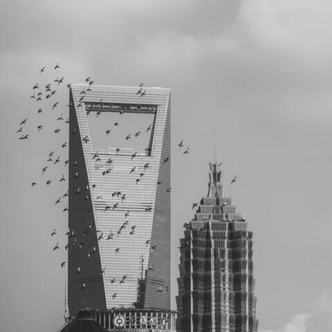 What time is it in Shanghai?