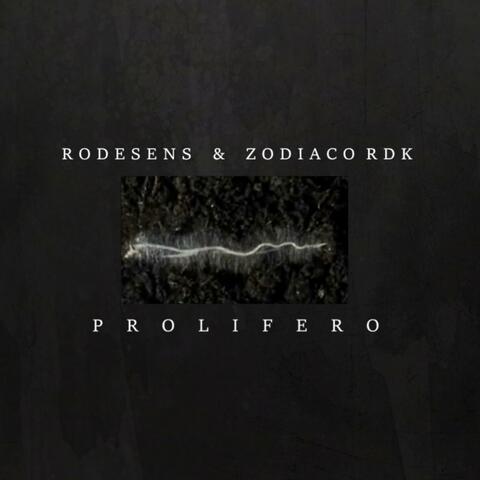 Prolifero