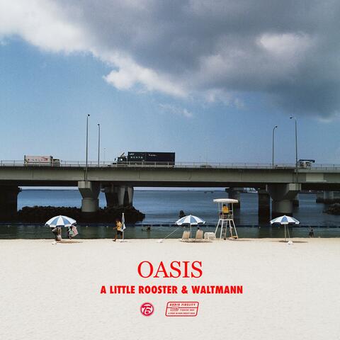 Oasis