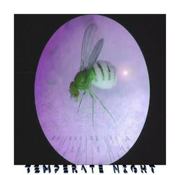 Temperate Night