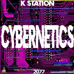 Cybernetics