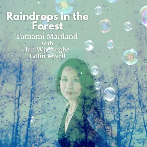 Raindrops in the Forest (feat. Ian Wijesinghe & Colin Lovell)
