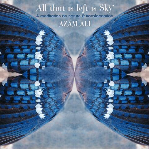 All that is left is Sky