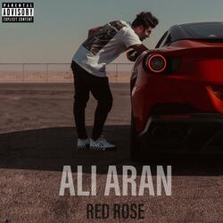 Red Rose