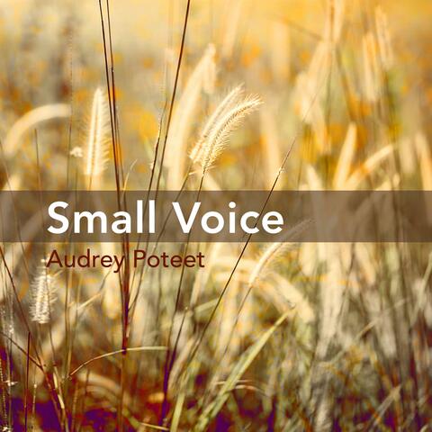 Small Voice