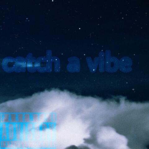 Catch a Vibe