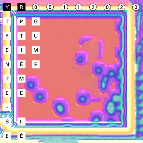 Trente-Septième Légume