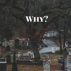 Why?