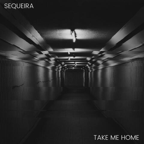 Take Me Home