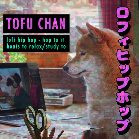 lofi hip hop