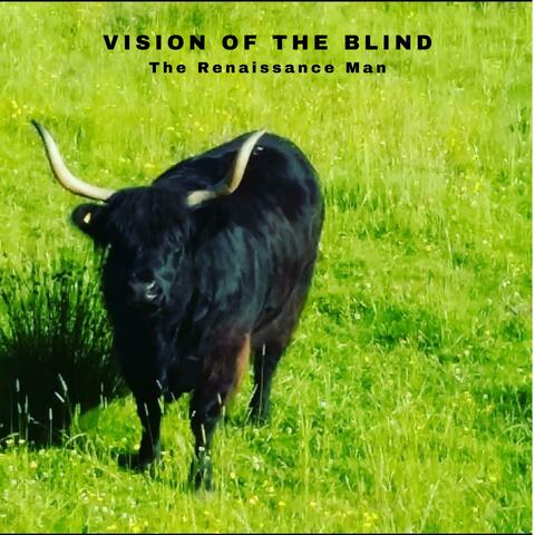 Vision of The Blind