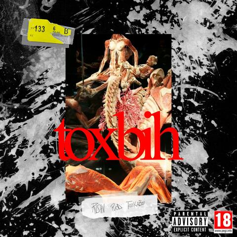 Toxbih