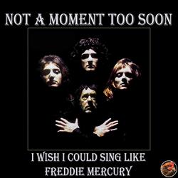 I Wish I Could Sing Like Freddie Mercury