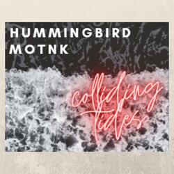 Colliding Tides (feat. MOTNK)