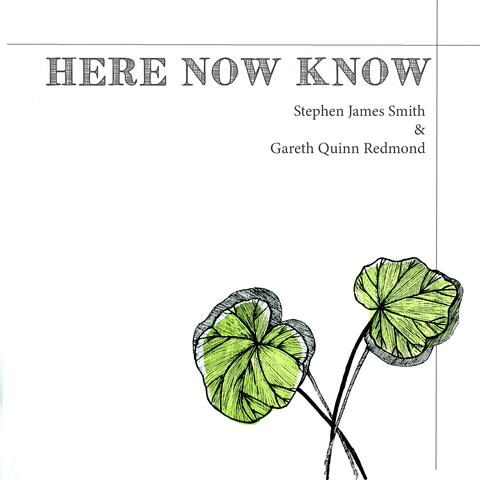 Here Now Know (feat. Gareth Quinn Redmond)