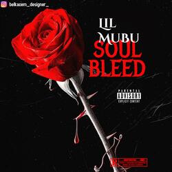 Soul Bleed