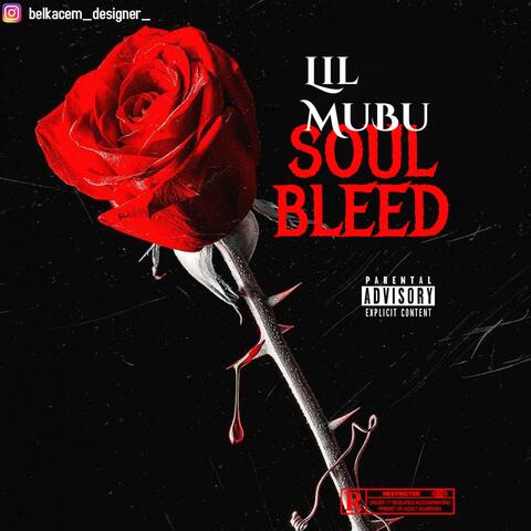 Soul Bleed