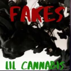 Fakes