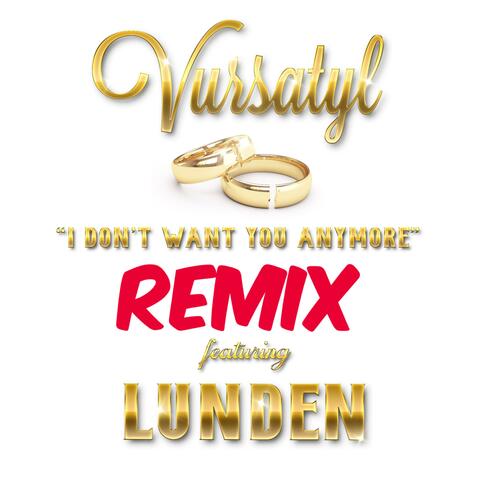I Don't Want You Anymore (feat. Lunden Benard)