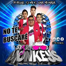 No Te Buscaré