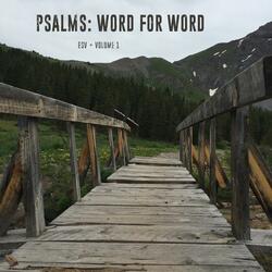 Psalm 23 Word for Word
