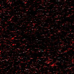 No Time Like The Present