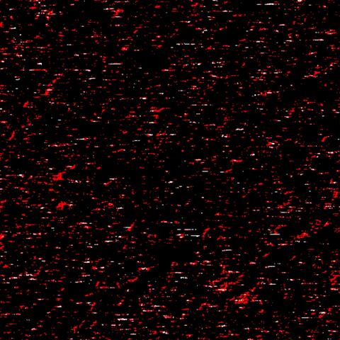 Pornographic Holocaust