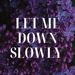 Let Me Down Slowly (Stripped)