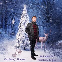 All I Want For Christmas Is You