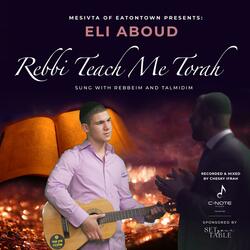 Rebbi Teach Me Torah