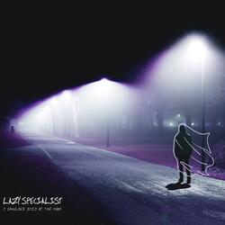 what happens when you leave the dog park