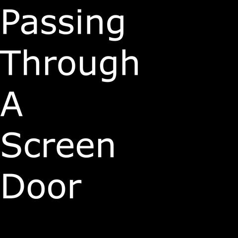 Passing Through A Screen Door
