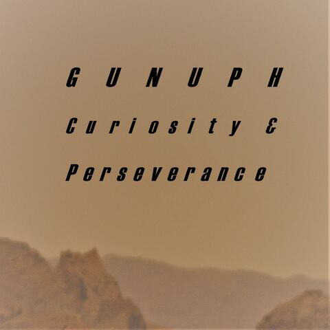 Curiosity & Perseverance