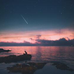 Stars May Fall