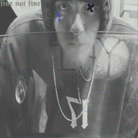 fine not fine