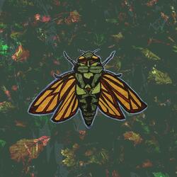 Cicada Song