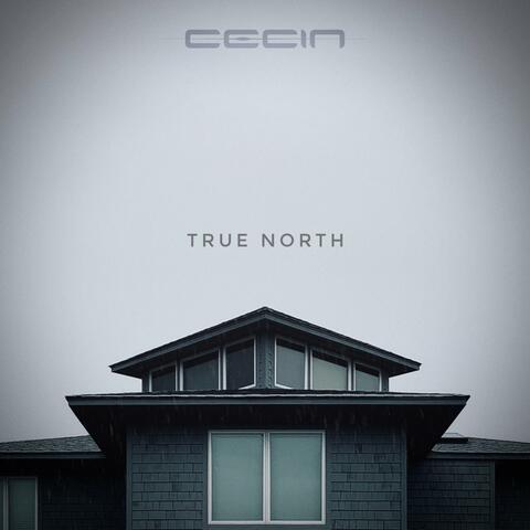 True North