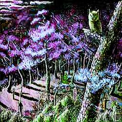 2hydros (swampkill777 x f16)