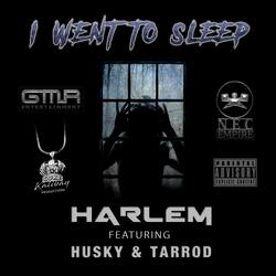 I Went To Sleep (feat. Husky & Tarrod)