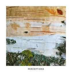Perceptions
