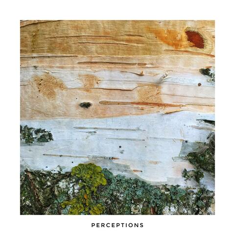 Perceptions