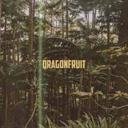 Dragon Fruit