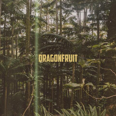 Dragon Fruit