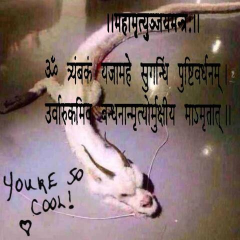 Agents of Torment (feat. Ellie Is Patient)