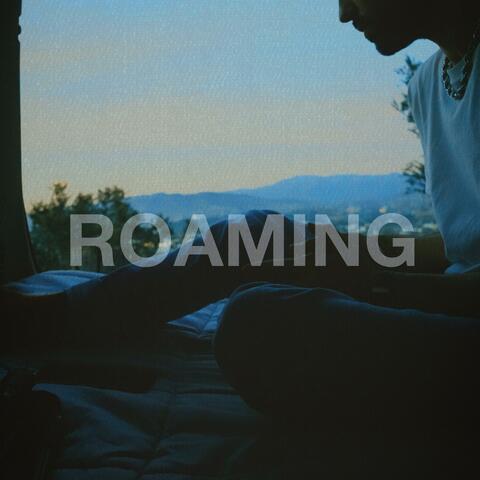 Roaming