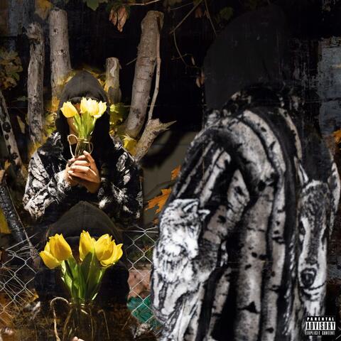 Song Of A Broken Heart