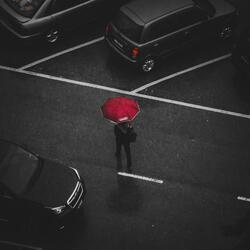 In Rain